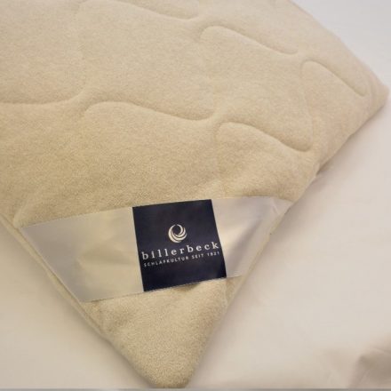 Billerbeck Evoléne pillow - small (36x48 cm)
